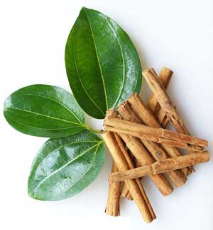 Cinnamon (cinnamum zeylanicum)