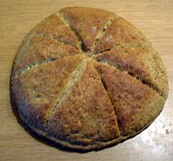 panis bread