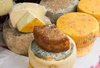 Roman hard cheeses