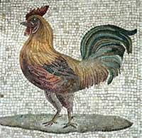 Roman Chicken mosaic
