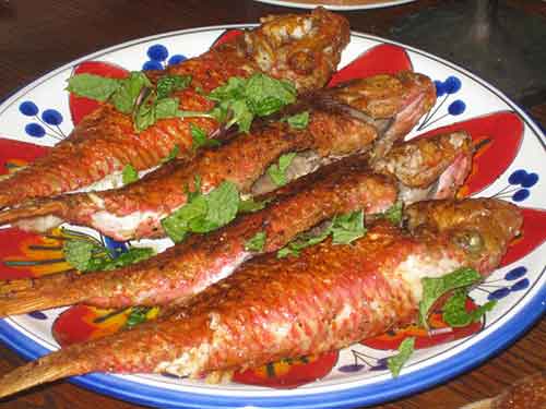 Roasted Mullet in Sauce (Ius in Mullos Assos)