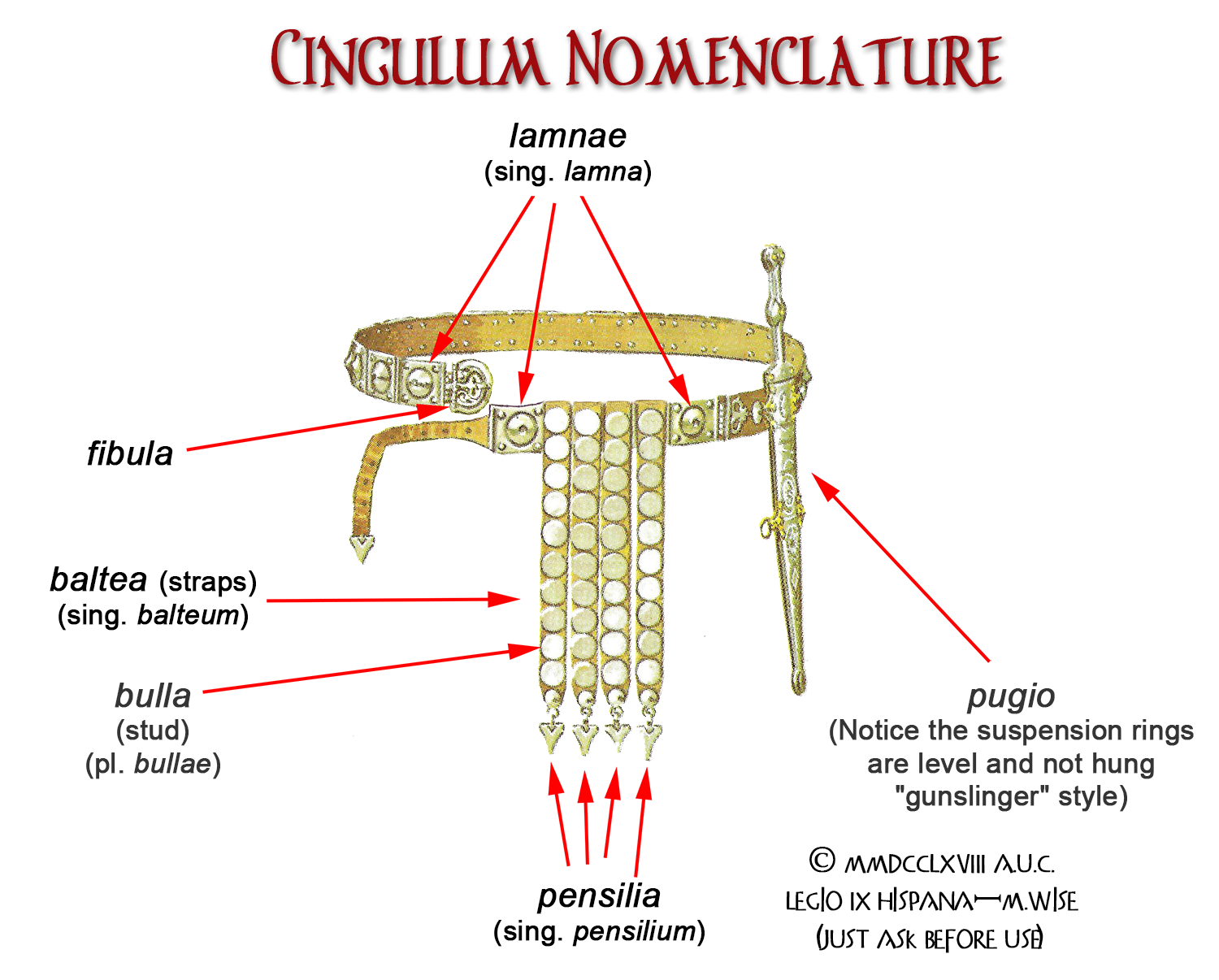 Romans in Britain - The Roman Soldier's Belt - Cingulum Militare